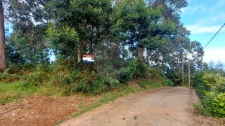 Land for sale in Santana, Portugal — €32,500