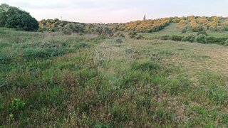 Land for sale in Torres Novas, Portugal — €67,200