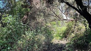 Land for sale in Torres Novas, Portugal — €12,900