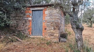 Land for sale in Tomar, Portugal — €7,500