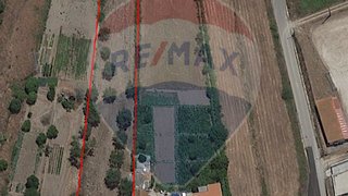 Land for sale in Montemor-o-Velho, Portugal — €55,000