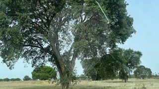 Land for sale in Palmela, Portugal — €220,000