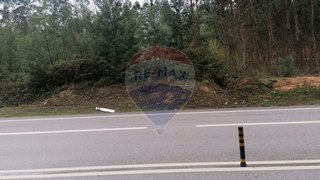 Land for sale in Mealhada, Portugal — €211,650