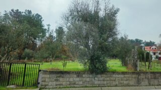 Land for sale in Mangualde, Portugal — €29,000