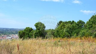 Land for sale in Bombarral, Portugal — €12,730