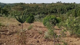 Land for sale in Penamacor, Portugal — €9,900