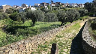 Land for sale in Mação, Portugal — €35,280