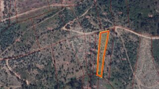 Land for sale in Tomar, Portugal — €5,000