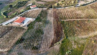 Land for sale in Anadia, Portugal — €57,000