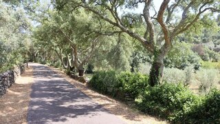 Land for sale in Marvão, Portugal — €29,500