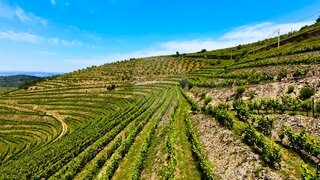 Terreno para venda em São João da Pesqueira, Portugal — 280 000 €
