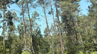 Land for sale in Valença, Portugal — €5,875