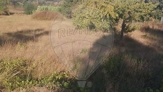 Land for sale in Alvaiázere, Portugal — €32,000