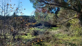 Land for sale in Gavião, Portugal — €25,000