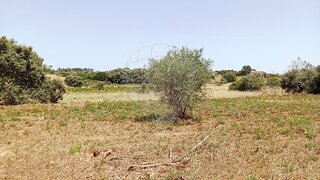 Land for sale in Azambuja, Portugal — €57,500