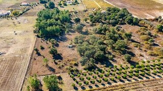 Land for sale in Palmela, Portugal — €59,500