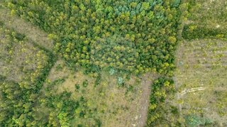Land for sale in Mira, Portugal — €9,000