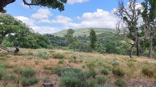 Land for sale in Fundão, Portugal — €29,950
