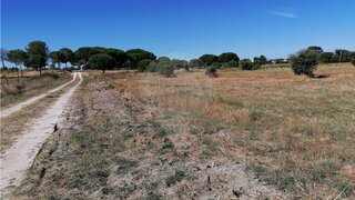 Land for sale in Montijo, Portugal — €60,000