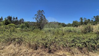 Land for sale in Pombal, Portugal — €129,900