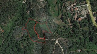 Land for sale in Oliveira de Frades, Portugal — €35,000