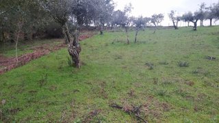 Land for sale in Sertã, Portugal — €25,000