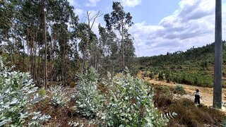 Land for sale in Mação, Portugal — €6,900