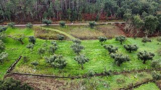 Land for sale in Sertã, Portugal — €10,000