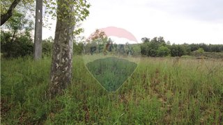 Land for sale in Belmonte, Portugal — €30,000