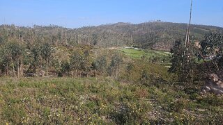 Land for sale in Ourém, Portugal — €3,400