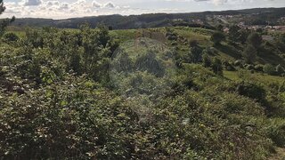 Terreno em Cadaval