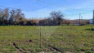 Terreno de 6750 m² em Beja