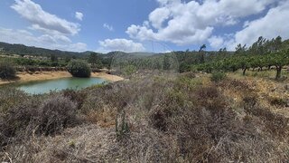 Land for sale in Torres Novas, Portugal — €5,000