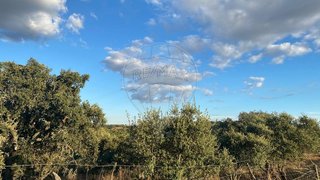 Terreno em Évora