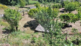 Land for sale in Santa Comba Dão, Portugal — €55,000
