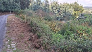 Land for sale in Arcos de Valdevez, Portugal — €25,000