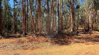 Terreno para venda em Tomar, Portugal — 17 000 €