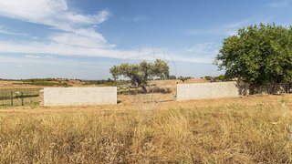 Land for sale in Reguengos de Monsaraz, Portugal — €65,000