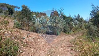 Land for sale in Alcobaça, Portugal — €11,500