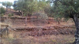 Terreno de 6240 m² em Castelo Branco