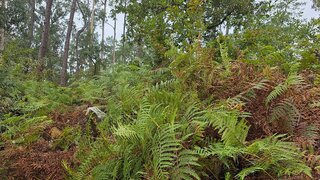 Land for sale in Barcelos, Portugal — €15,000