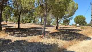 Land for sale in Coruche, Portugal — €60,000