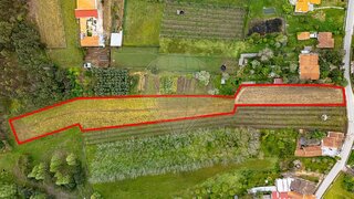 Land for sale in Anadia, Portugal — €38,000