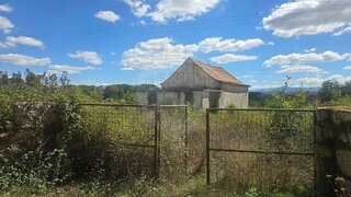 Land for sale in Carregal do Sal, Portugal — €80,000