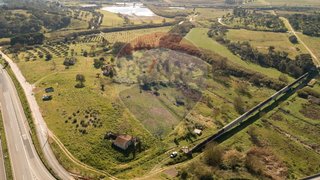 Terreno de 49 620 m² em Santarém