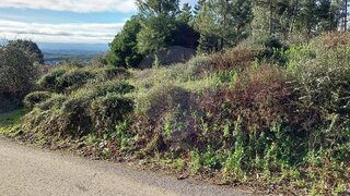 Land for sale in Sertã, Portugal — €3,000
