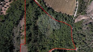 Land for sale in Cantanhede, Portugal — €20,000