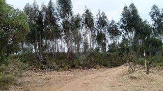 Land for sale in Abrantes, Portugal — €6,500