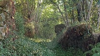 Terreno em Cinfães