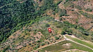 Terreno em Murça